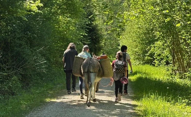 Pony- und Eseltag (Kursnr. 1.3e)