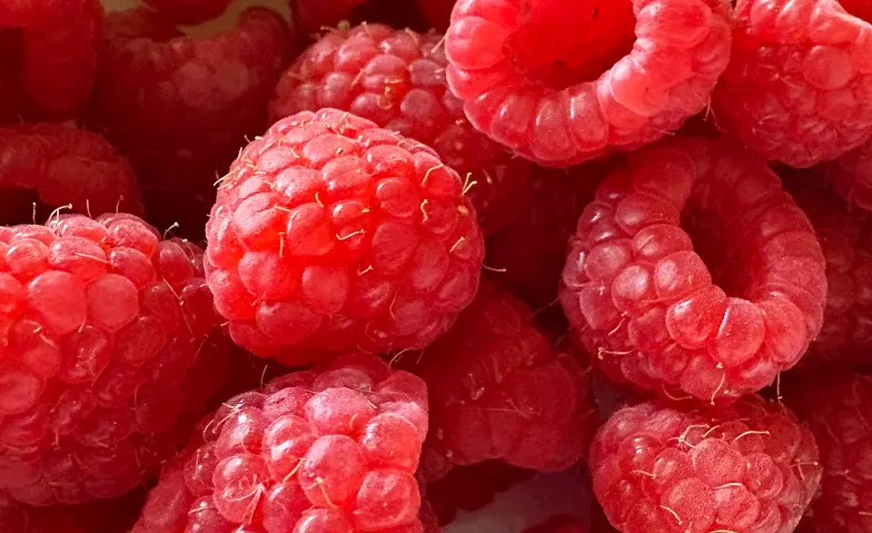 Leckereien mit Beeren- Marmelade, Eis und mehr