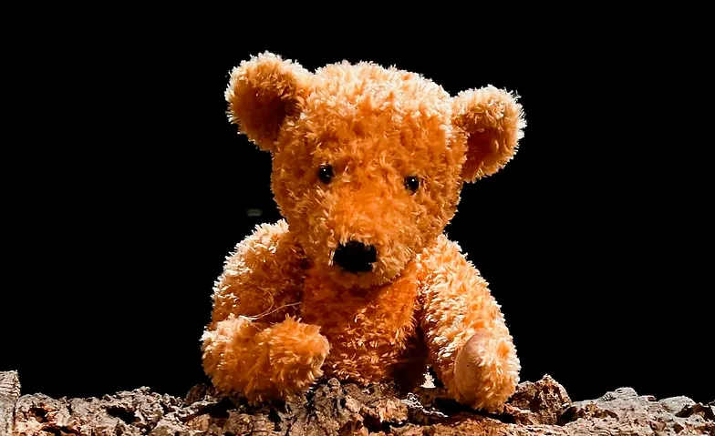 PU DER BÄR